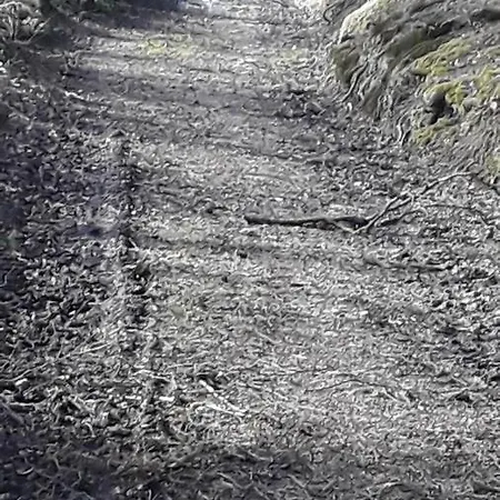 Appartamento Koeppl Katrin *