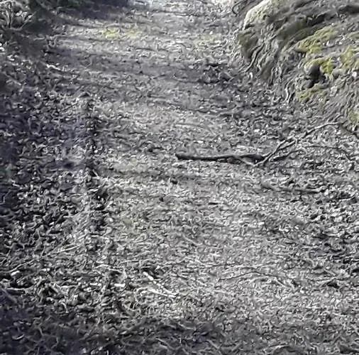 公寓 Koeppl Katrin *